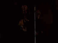 Image CIMG3102.jpg