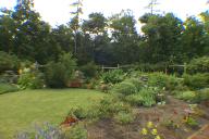 Image P0013412.jpg