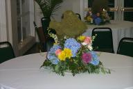 Image P0013505.jpg