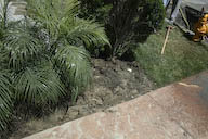 Image IMG_1279.jpg