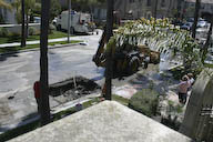 Image IMG_1286.jpg