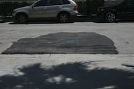 Image IMG_1731.jpg