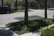 Image IMG_1732.jpg