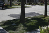 Image IMG_1733.jpg