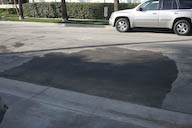 Image IMG_1831.jpg