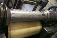 Image P0011634.jpg