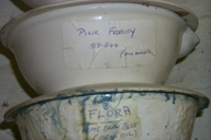 Image P0011648.jpg