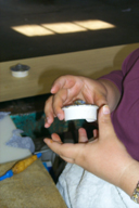 Image P0011706.jpg