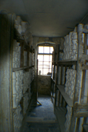 Image P0011863.jpg