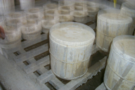 Image P0011893.jpg