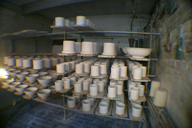 Image P0011936.jpg