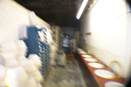 Image P0011939.jpg