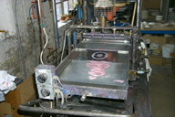 Image P0011959.jpg